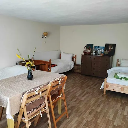 Bovada / бовада Bov