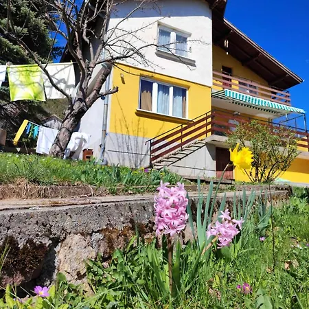 Bovada / бовада 게스트하우스