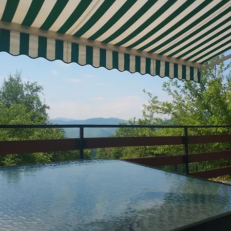 Bovada / бовада * Bov