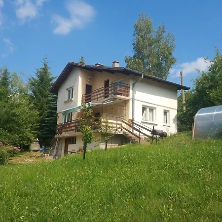 Bovada / бовада 게스트하우스