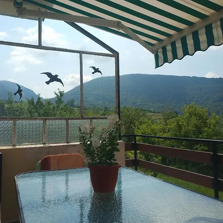 Bovada / бовада 게스트하우스 *